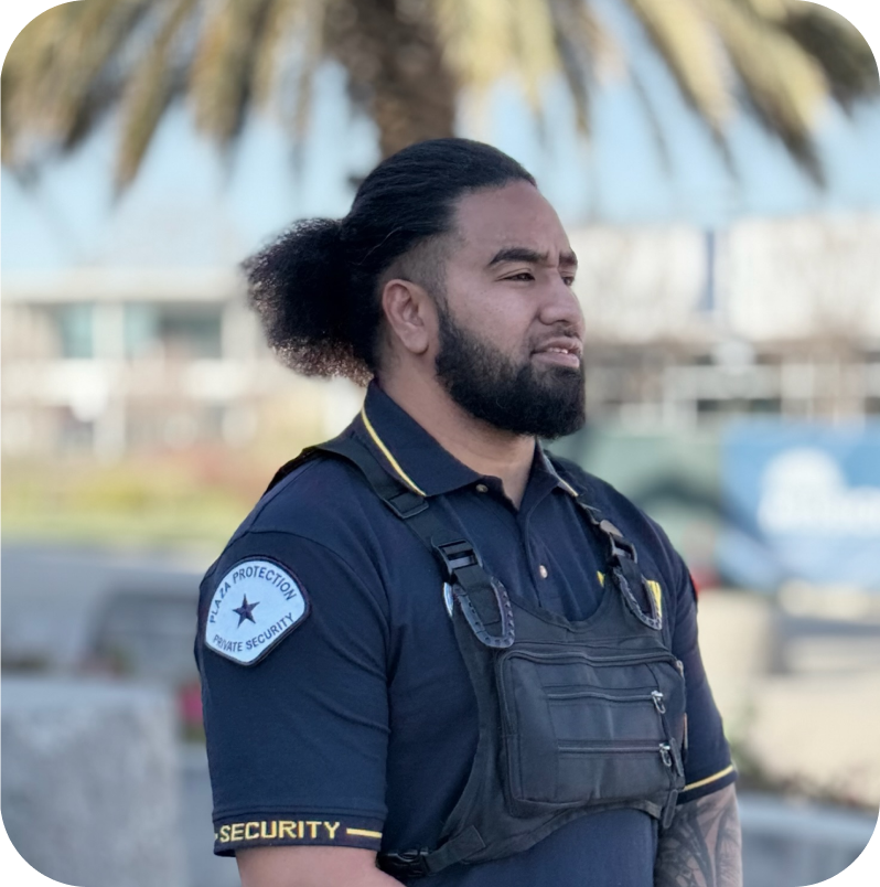 Plaza Protection Security Guard Providing Industry-Specific Protection